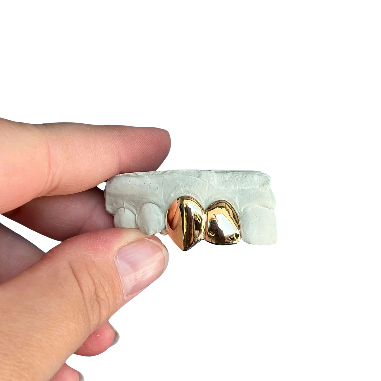 2 Piece Set with Canine Fang